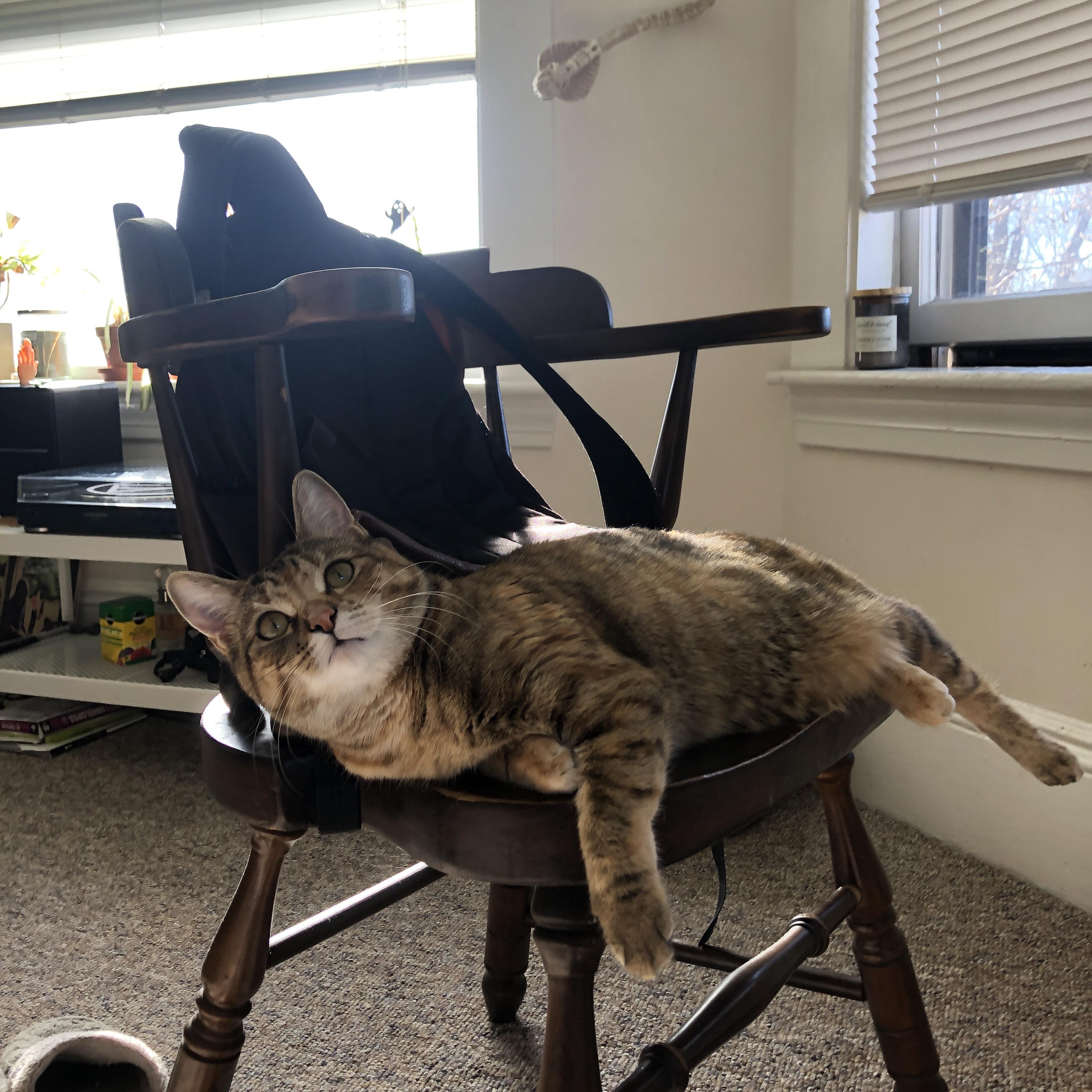 中国赛车手勇夺世界耐力赛冠军,刷新国内纪录,中国cec耐力赛