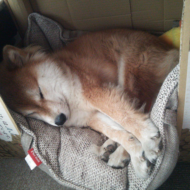 JIU YOU GAME-最险峻的弯道排名TOP5，最危险的道路