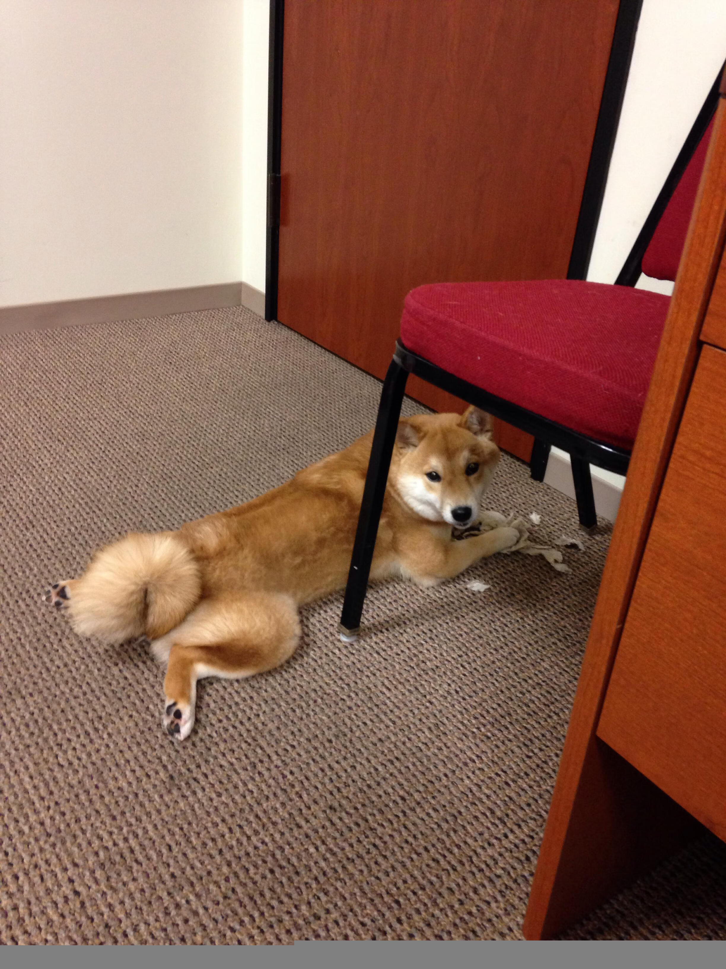 九游下载中心-线上电竞夜市、线下巡展持续火热，行业热度不减，电竞 线下