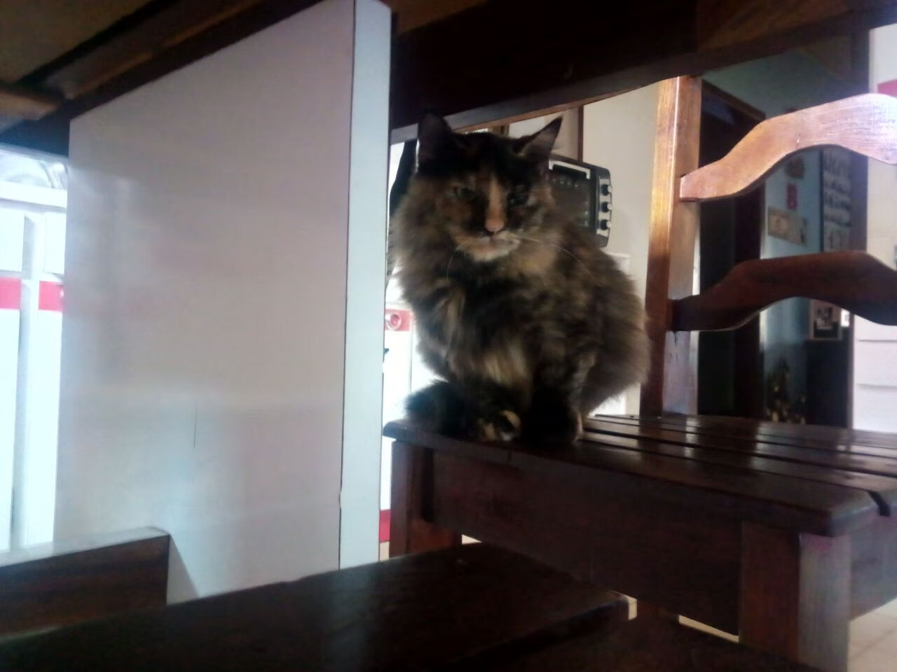 多特蒙德主场2-0战胜美因茨,继续领跑德甲,多特蒙德比赛视频