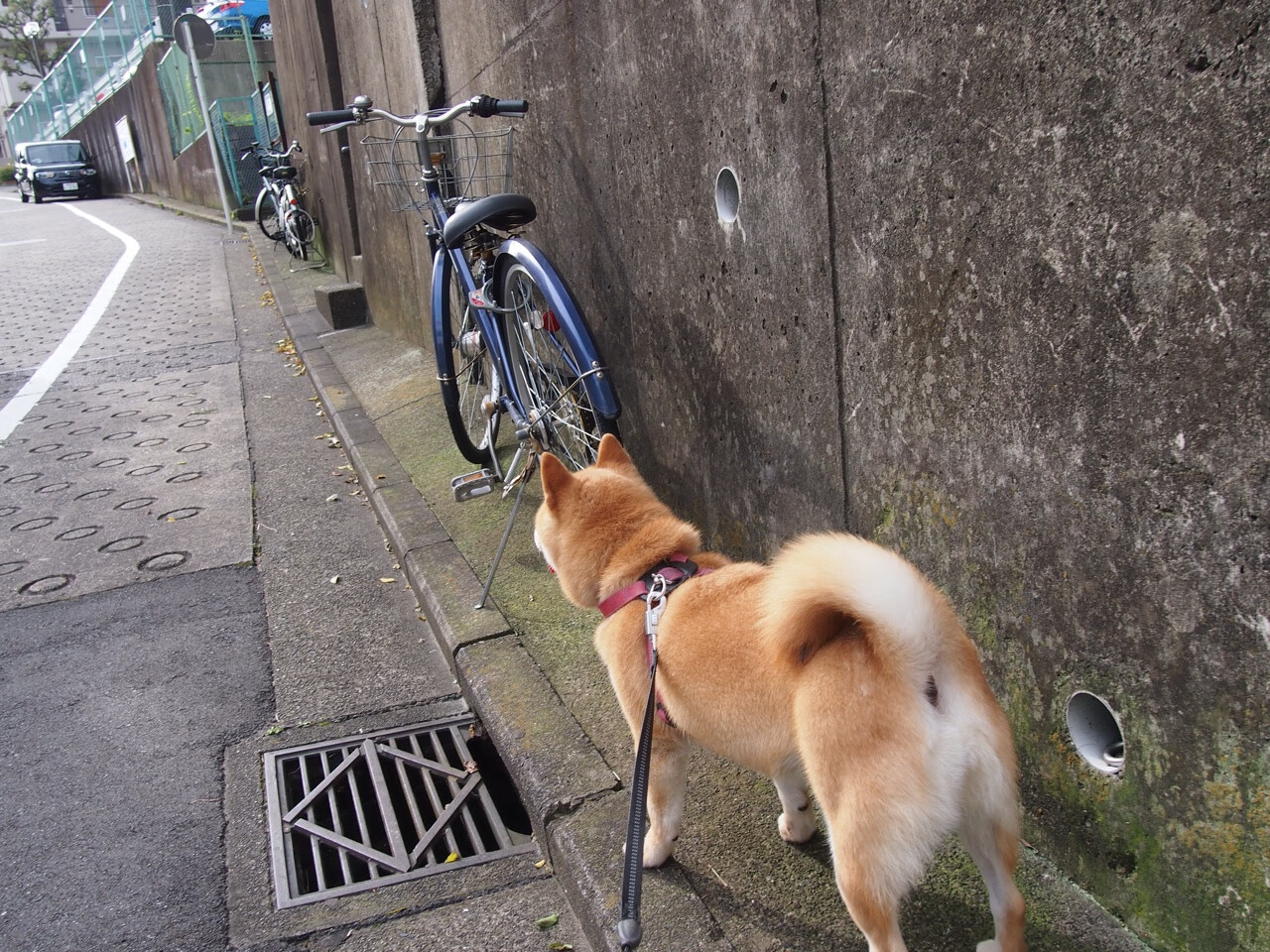 九游下载中心-开拓者队全队合力，联手逆转夺取胜利，开拓者队全队合力,联手逆转夺取胜利的是谁