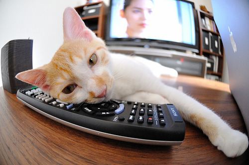 是否应推动球队与本地高校深度合作