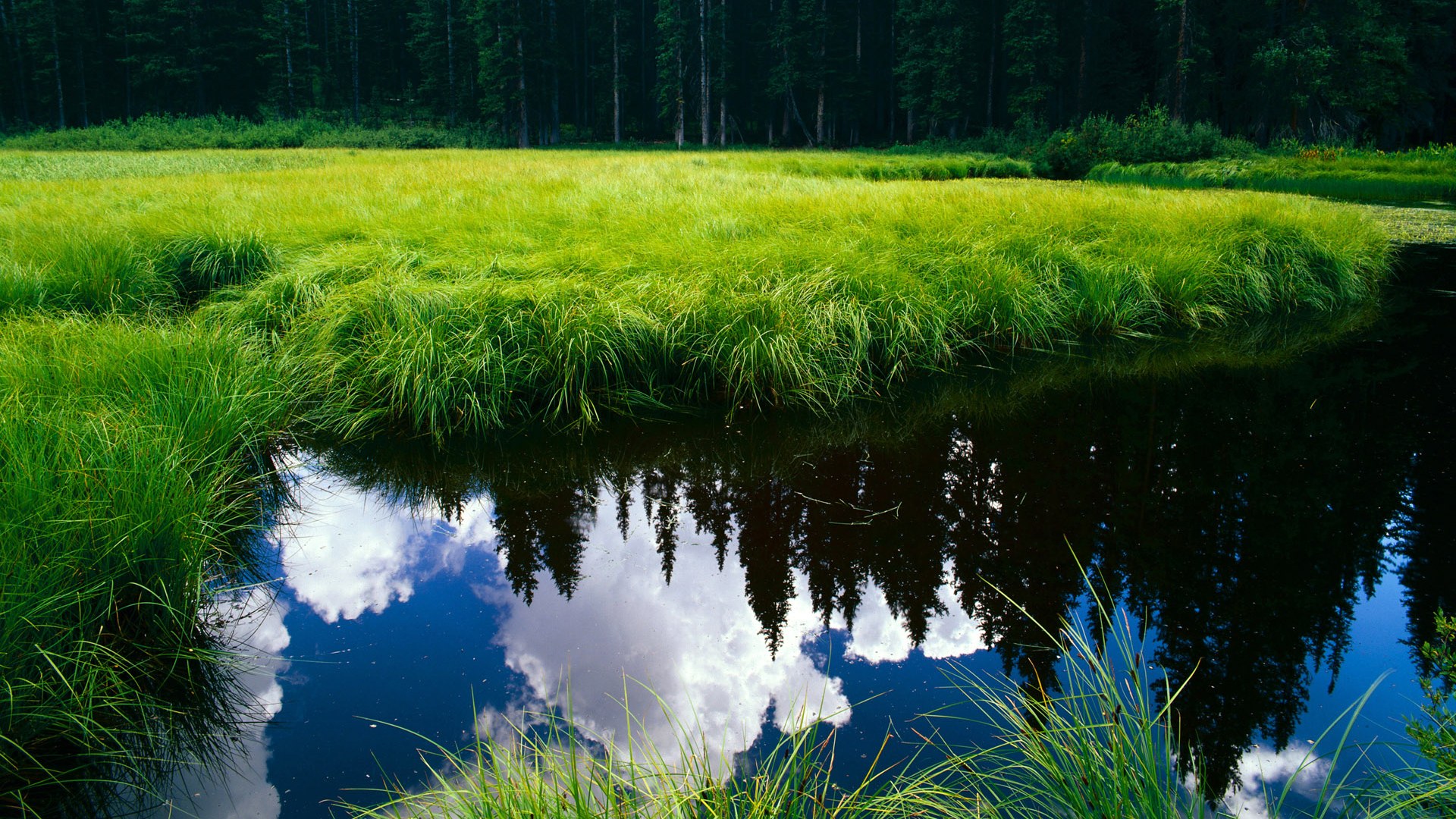 九游游戏中心官网-纳卡赫在巴黎奥运会男足比赛中展现出强大的进攻能力，纳戈尔诺-卡拉巴赫(纳卡)地区