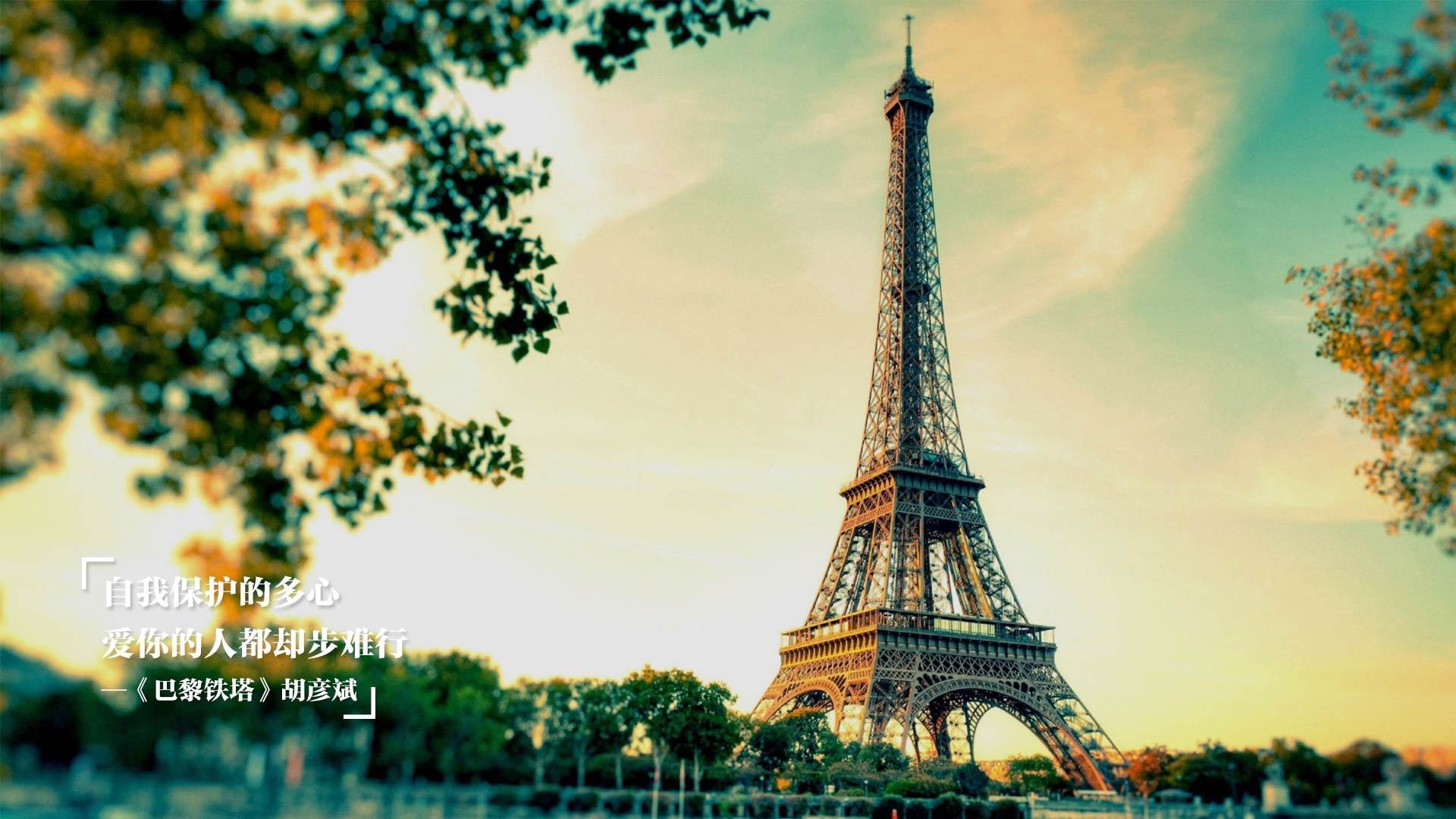 中国篮球教练员技术创新能力培养及评价体系,中国篮协篮球教练员培训班