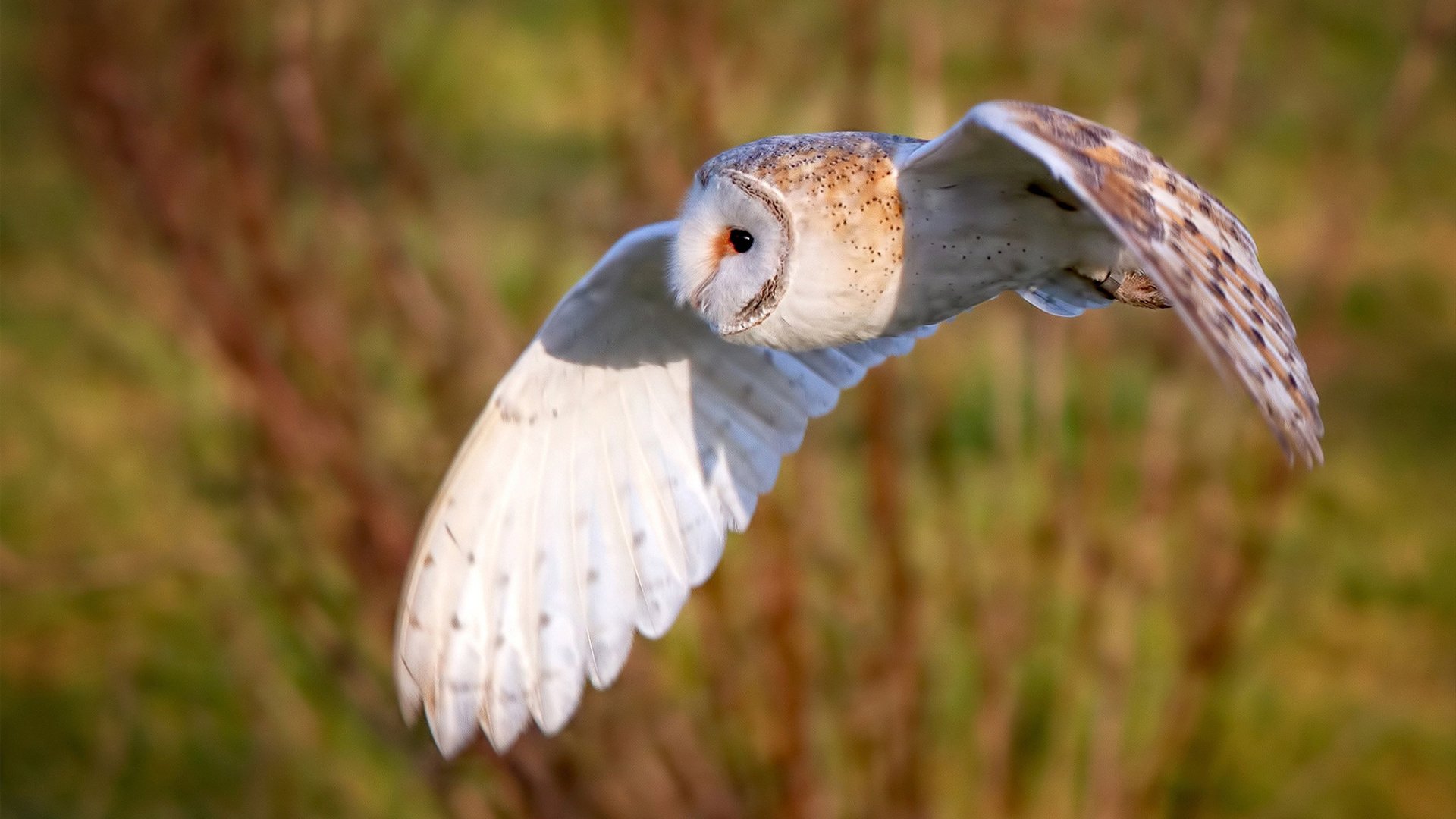 中国足球换人后战术效率变化统计,最新足球比赛换人规则介绍最新