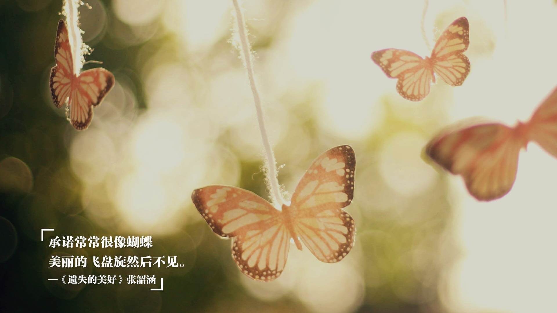 意甲裁判语义辅助判罚系统提升比赛公平性研究,意甲裁判组