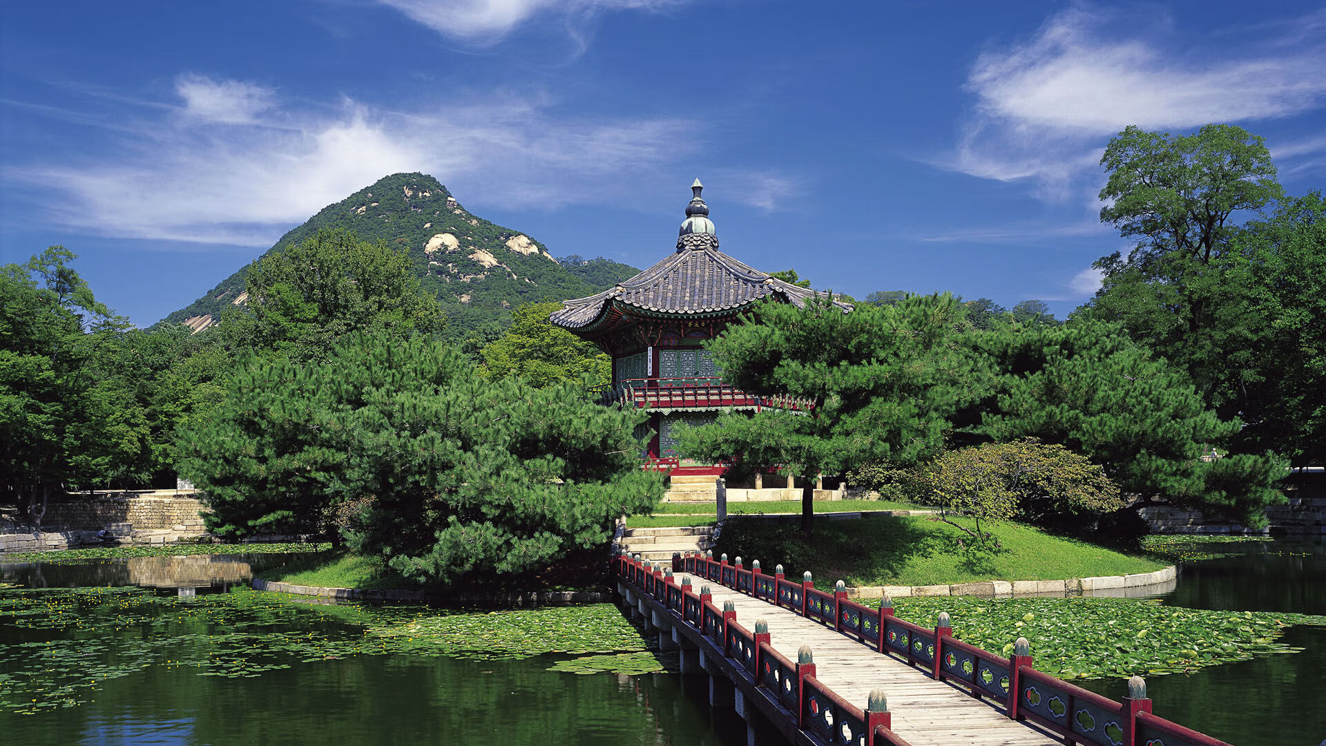 九游娱乐(jiuyou)官方网站-中国足球职业俱乐部技术团队专业能力提升，职业足球俱乐部训练计划