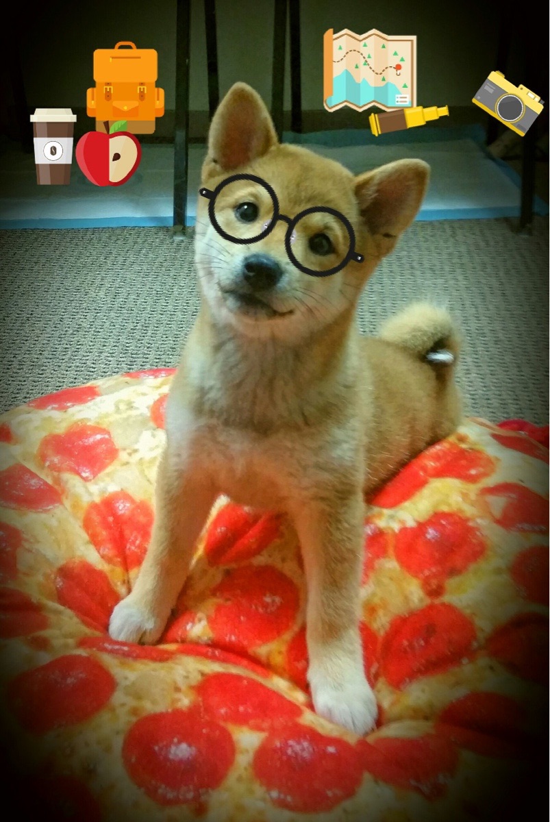 九游app下载中心-城市联赛拉开战幕基层球队展示出令人惊喜的技战术水平，城市职业联赛