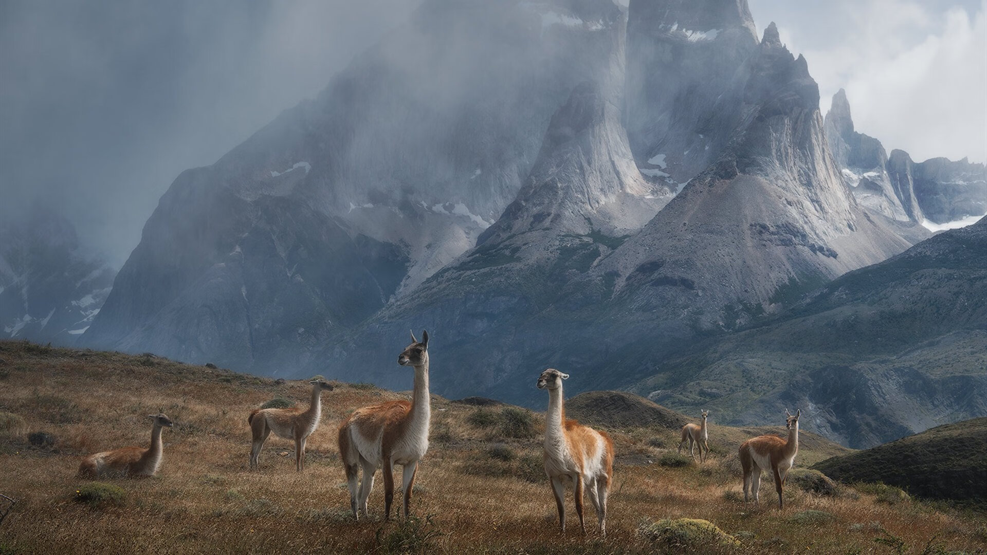 九游app下载中心-欧洲杯变阵夺冠：战术调整带来奇迹！，欧洲杯怎么变2021