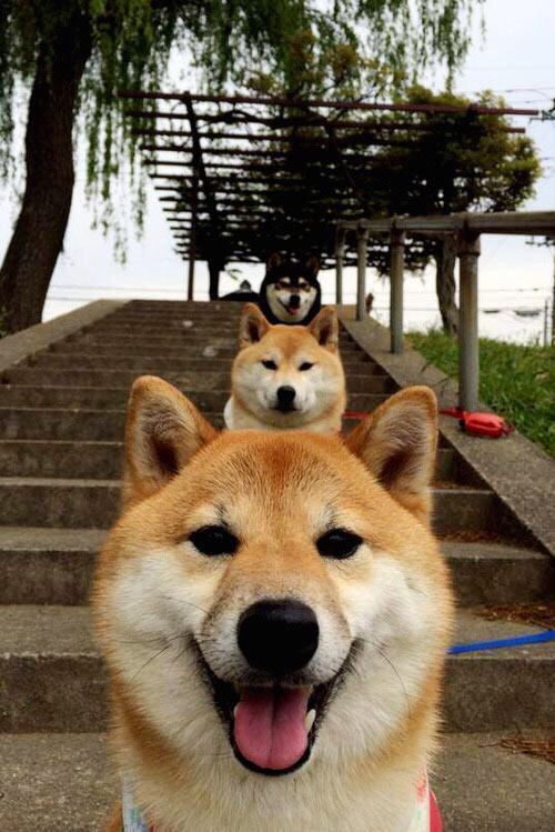 法甲少年崛起:新秀闪耀未来!