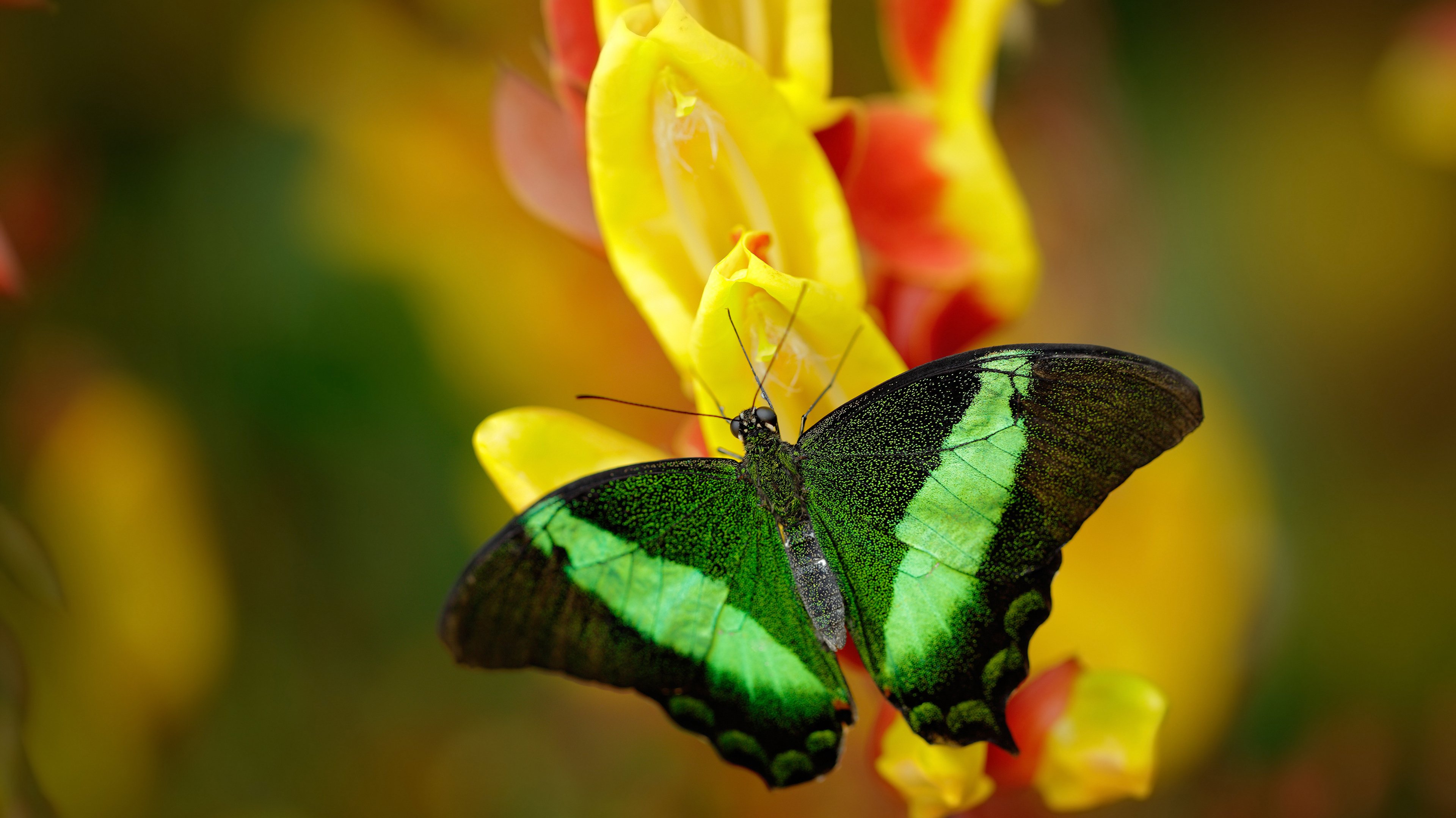 九游下载中心-西甲高光瞬间：突破、任意球、悬念不断，历年西甲用球