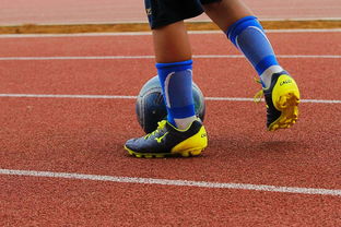 九游游戏中心下载-中国青少年篮球运动员身体机能发展研究，我国篮球青少年运动发展现状