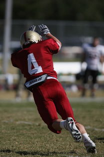 九游APP官网-五大联赛的魅力：不同国家球队的差异化风格，5大联赛球队综合实力排名