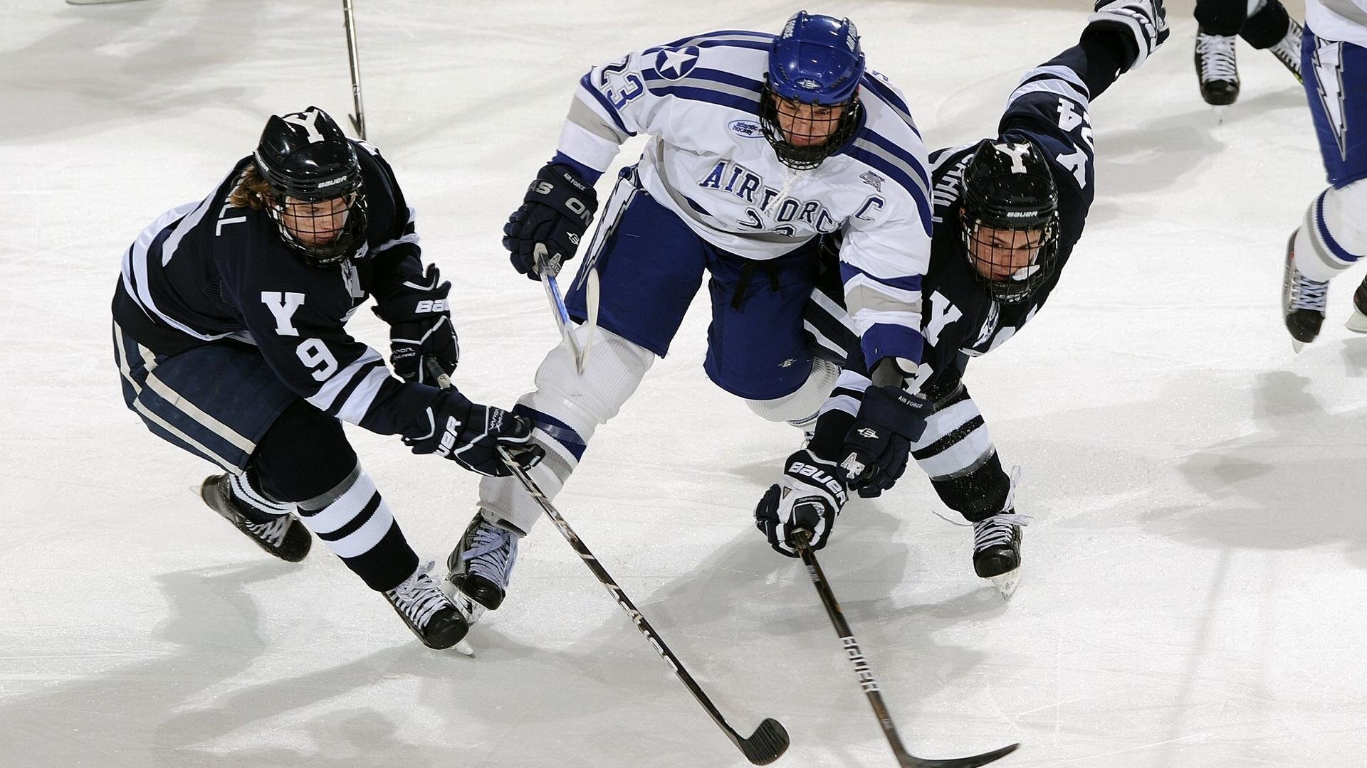 球迷狂欢：现场氛围火爆，激烈赛事不断，球迷狂欢节