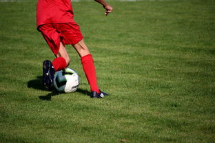 JIUYOU GAMING-篮球运动员心理健康维护服务体系研究，篮球心理技能训练计划